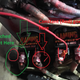 Illustration for article titled 24V Systems Are Confusing